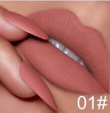 Vegan Velvet Matte Lipstick-4