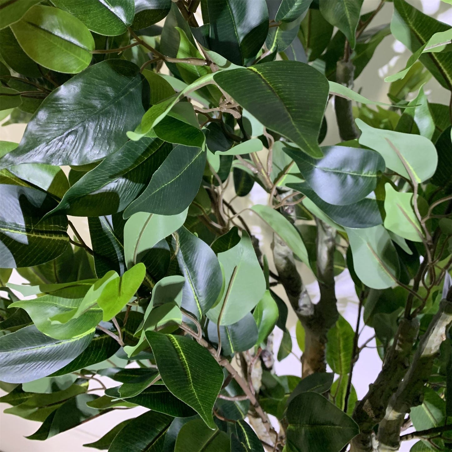 Leaf 100cm Leaf Artificial Ficus Tree Ficus-2