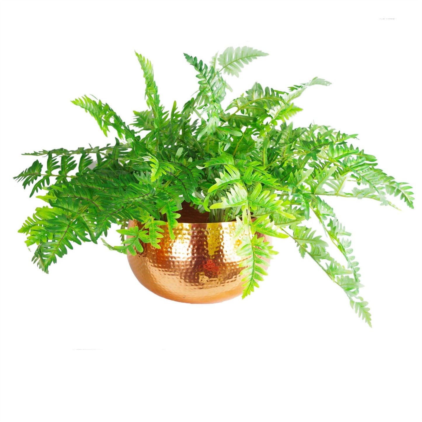 Leaf Large Metal Planter Edge Metal Planter 20cm-2
