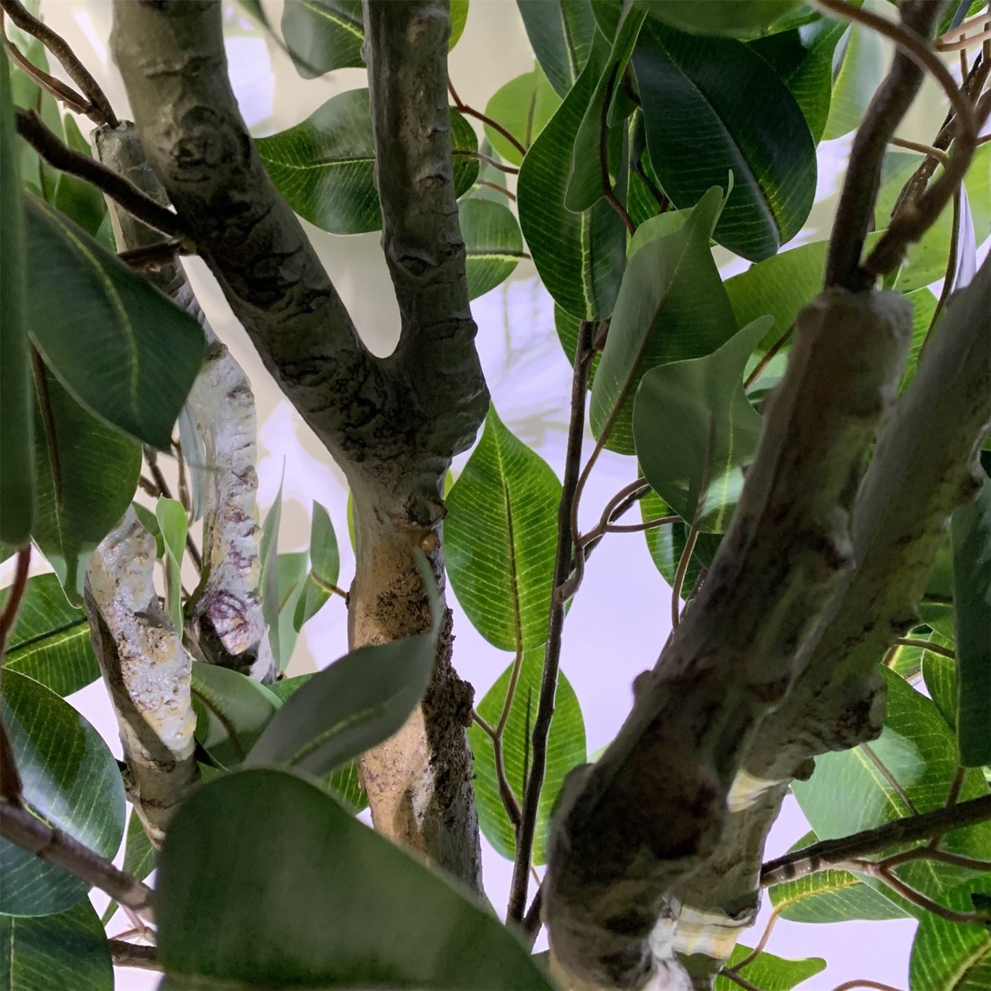 Leaf 100cm Leaf Artificial Ficus Tree Ficus-3