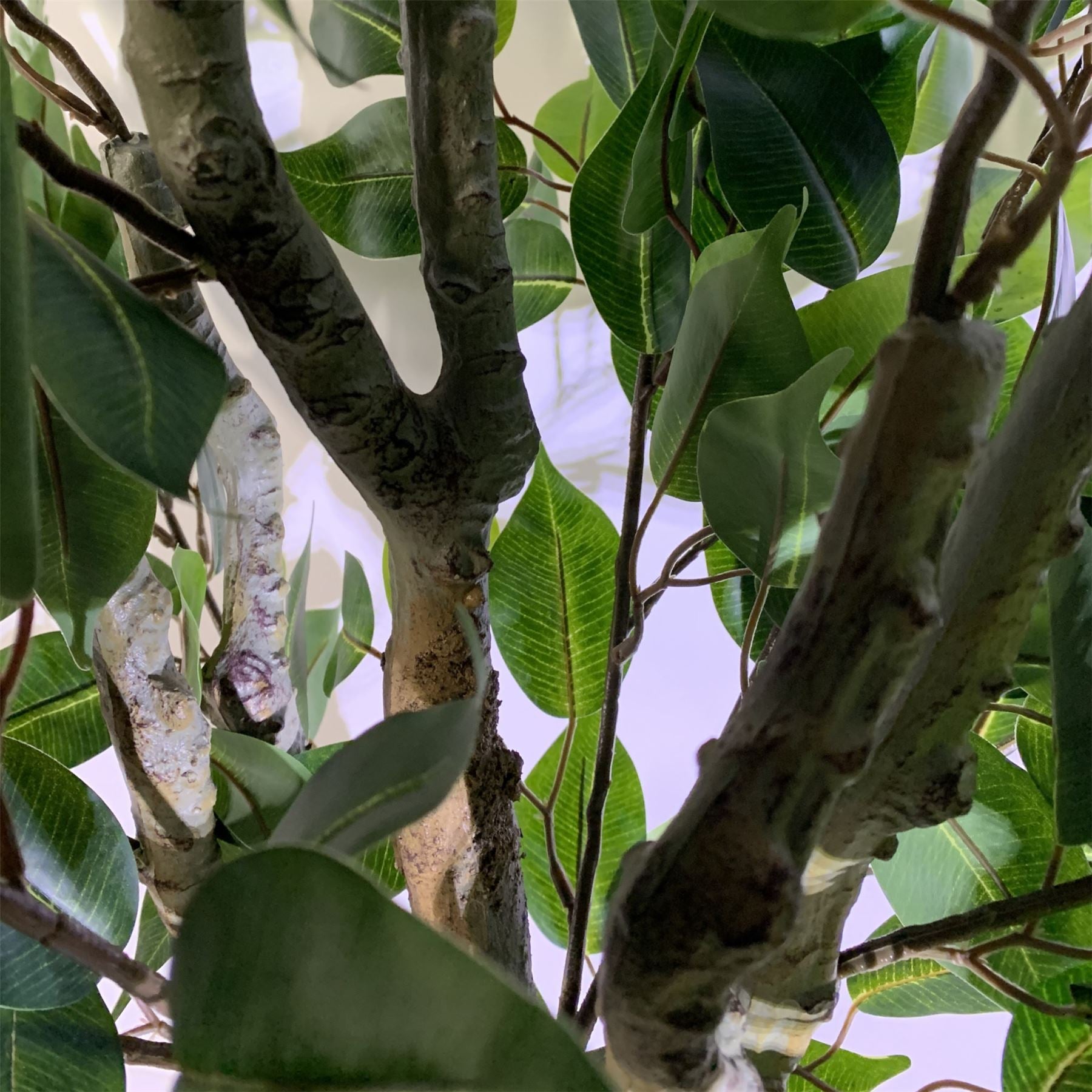 Leaf 100cm Leaf Artificial Ficus Tree Ficus-3