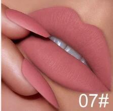 Vegan Velvet Matte Lipstick-5
