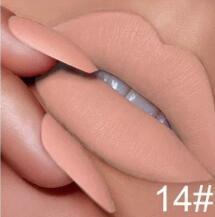 Vegan Velvet Matte Lipstick-13